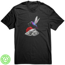 Hummingbird High (District)