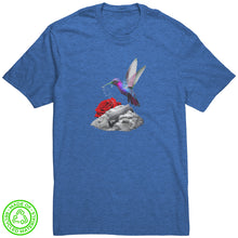 Hummingbird High (District)